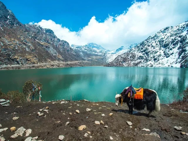 sikkim-darjeeling-tour